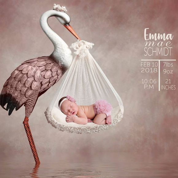 Meet your Posher, Nicole - Picture 1 of 1